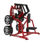 Dynamic Bilateral Low Row